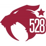528 Custom Vapes