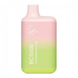 *Clearance Sale* EB Create BC5000 - Strawberry Kiwi (Disposable Pod Device)