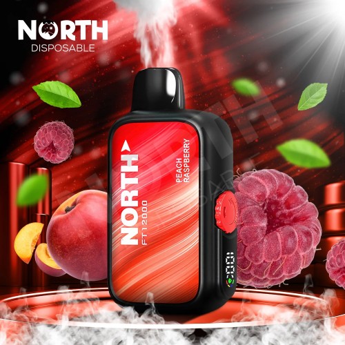 North FT12000 Disposable - Peach Raspberry