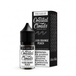 Coastal Clouds Salt ブルーベリーライムエード 30ml