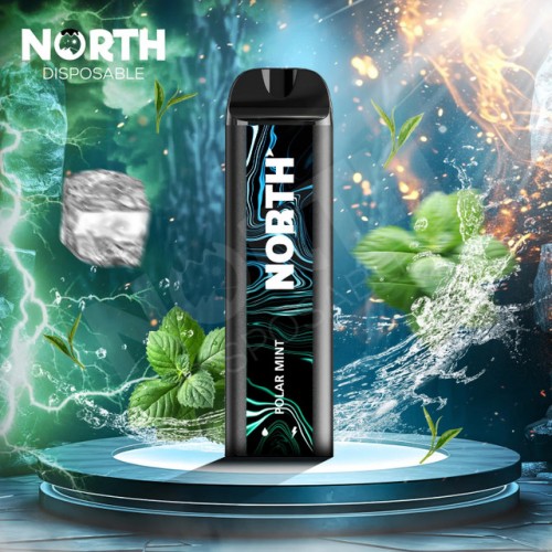 North 使い捨てデバイス 5000 Puffs 550mAh 10ml 5%  - ポーラーミント