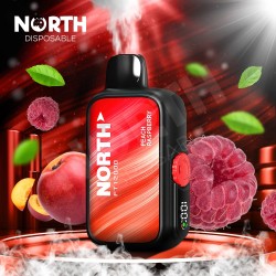 North FT12000 使い捨てデバイス - ピーチラズベリー